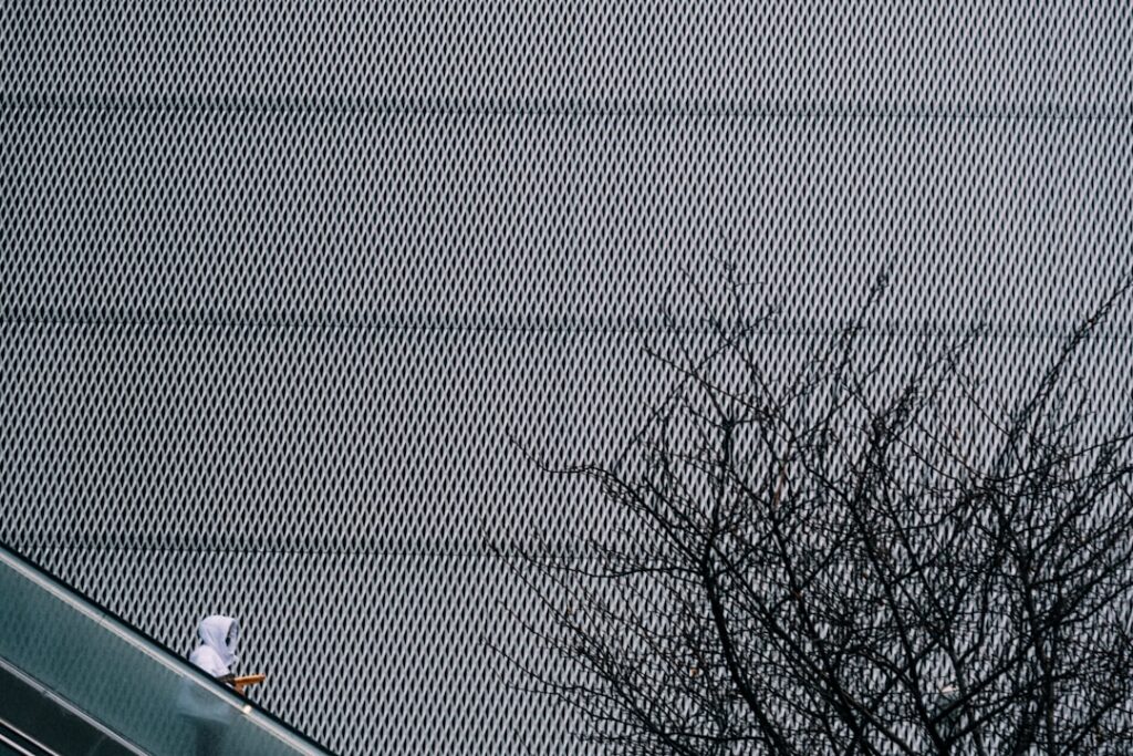 Supreme Court Poised to Rule for Trump on Agency Firings