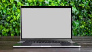 netflix future plans