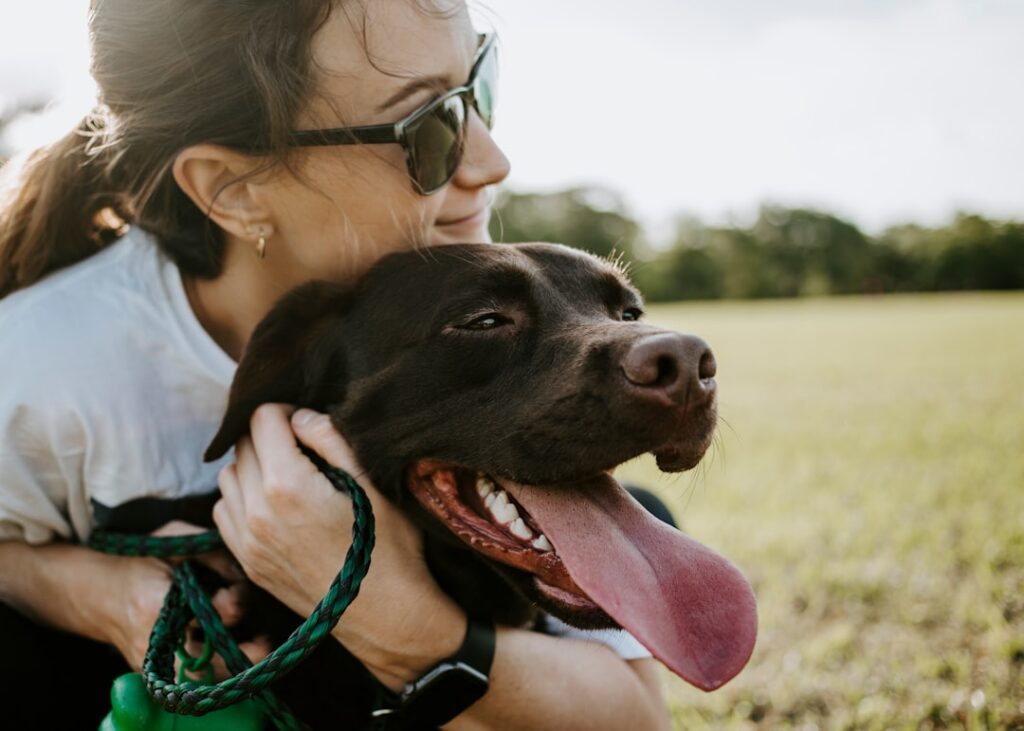 pet safety devices