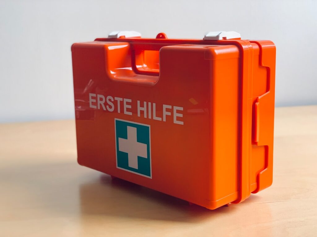 Rethinking Disaster Prep After the Toba Eruption disaster preparedness